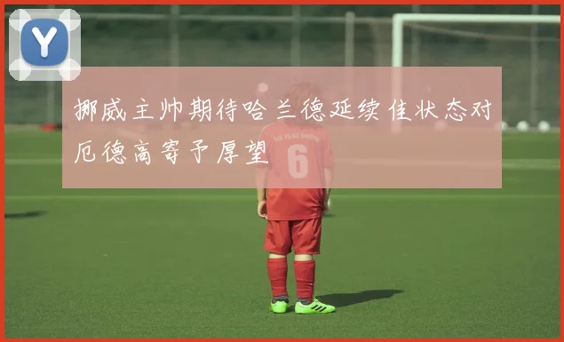 挪威主帅期待哈兰德延续佳状态对厄德高寄予厚望